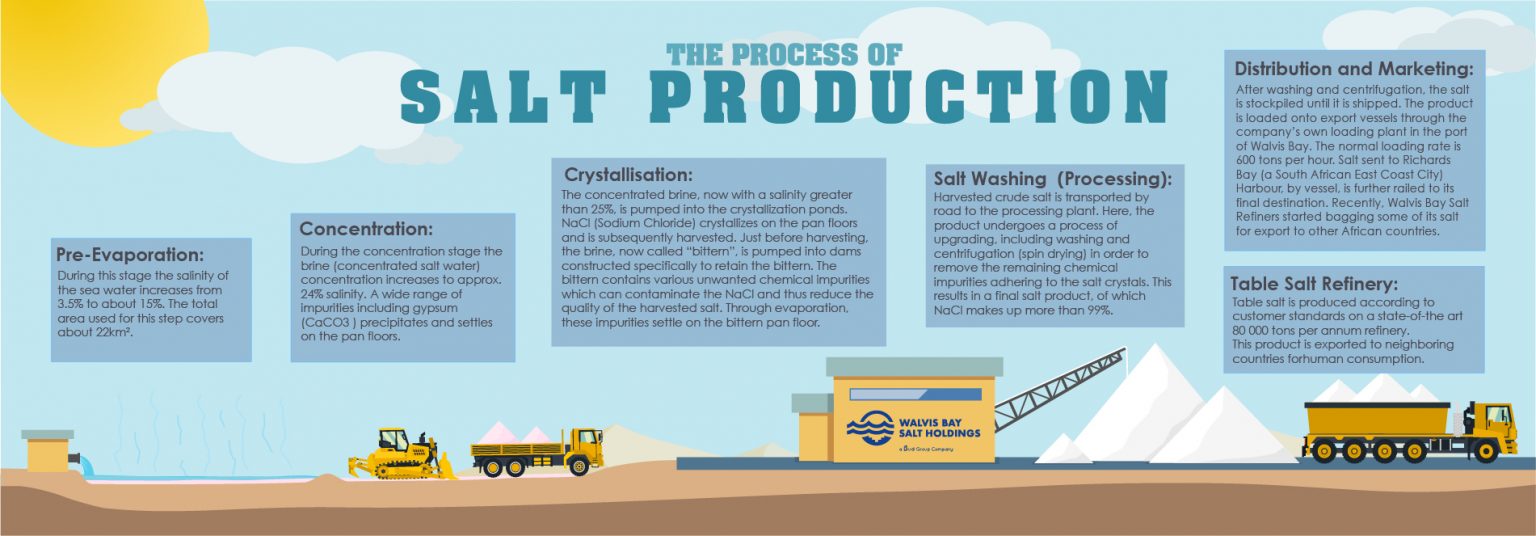business plan for salt production